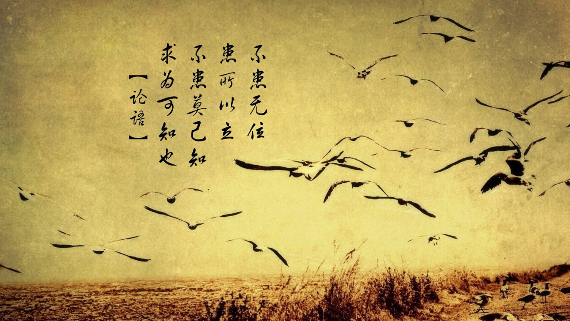 新王当立!罗德里绝妙世界波引爆皮斯胡安,塞维利亚力擒尼斯