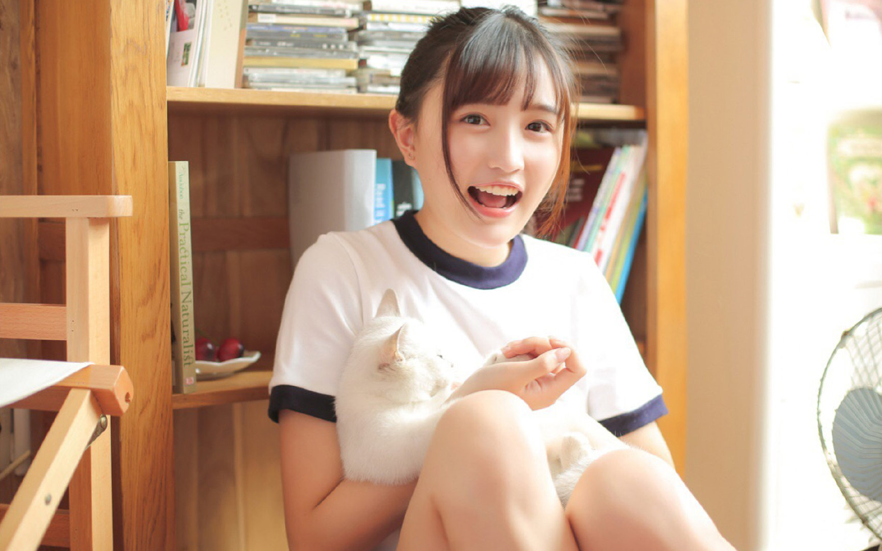 舞台与节奏,竞技体育中不可复制的胜利密码