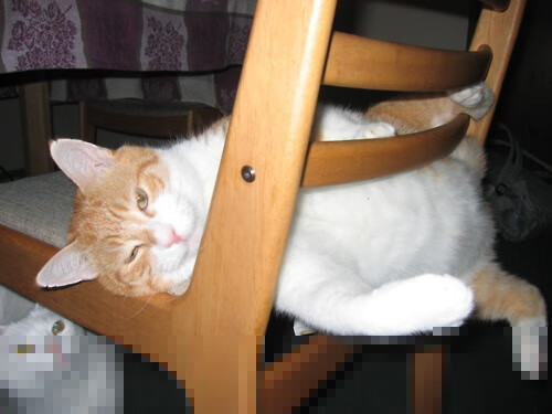 中场幻影，贝林厄姆如何用非典型进球终结世界排名争夺战？