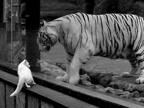 铁血之墙,当活塞的钢铁防线锁死爵士的流畅进攻